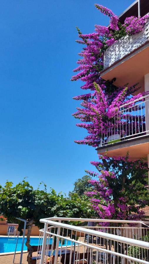 Stella Apartments Vinkuran Exterior foto